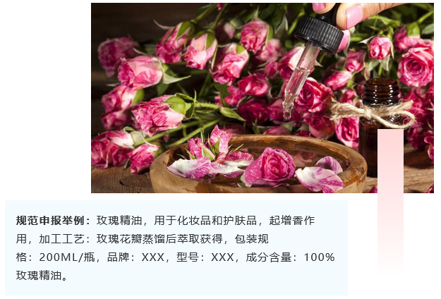 <a href='http://www.gorupuro.com' title='危險品海運' >危險品海運</a>