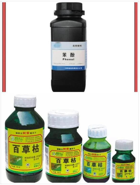 <a href='http://www.gorupuro.com' title='國際貨運代理' >國際貨運代理</a>